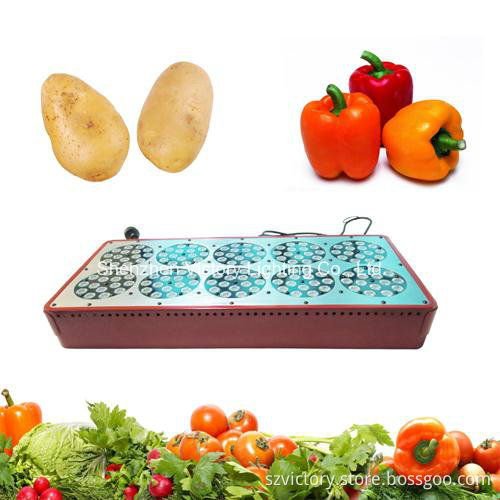 Apollo 6 Hydroponics Greenhouse Apollo LED Grow Light